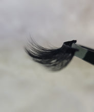 Load image into Gallery viewer, SITTING PRETTY